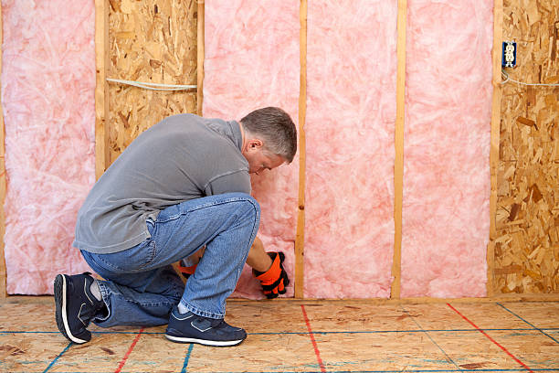 Best Cellulose Insulation in Sharonville, OH