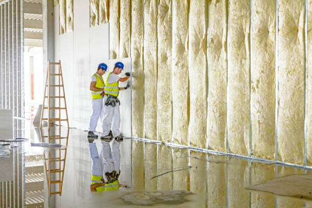 Best Specialized Insulation Services in Sharonville, OH